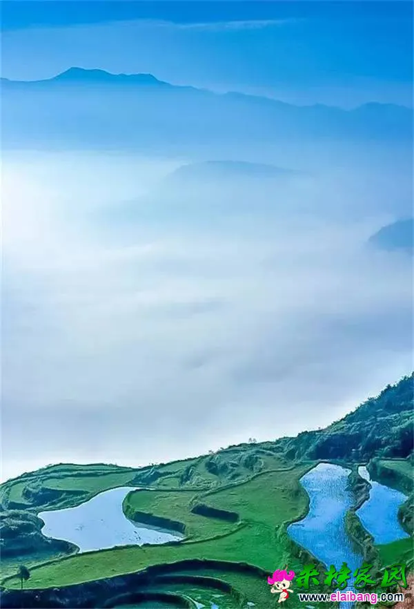 fe2e2ab0a7d3d895e956fc83d6b688aa.webp