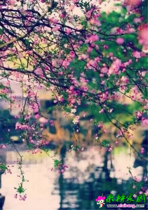 7329c7405f59cca4a7152cf364e1971b.webp