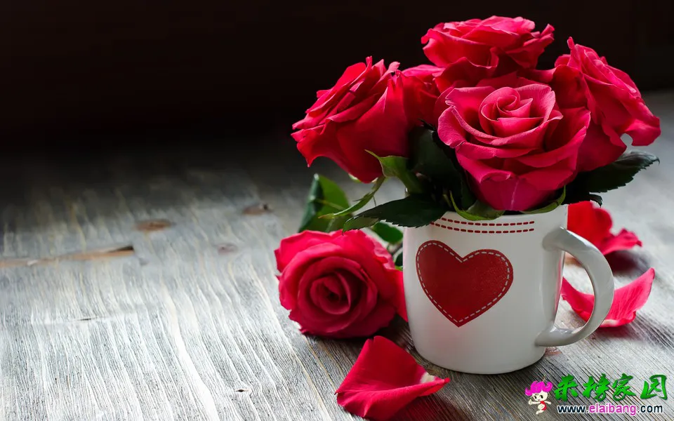 ChMkJlben7-IRa8hAAi2JKow35MAAM8jgNjQ1MACLY8772.webp
