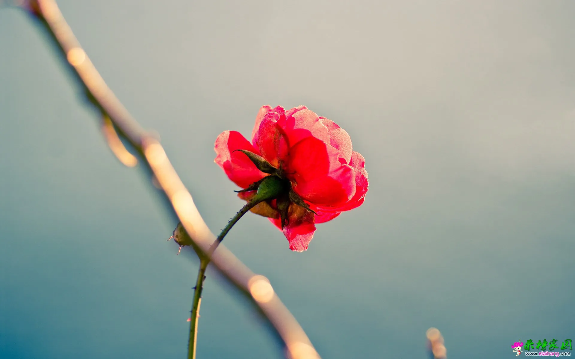 54-140214103G6.webp
