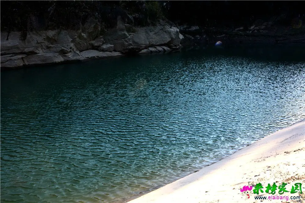 DSC_0971.webp