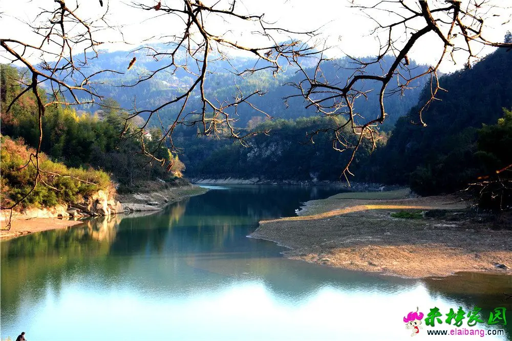 DSC_0982.webp