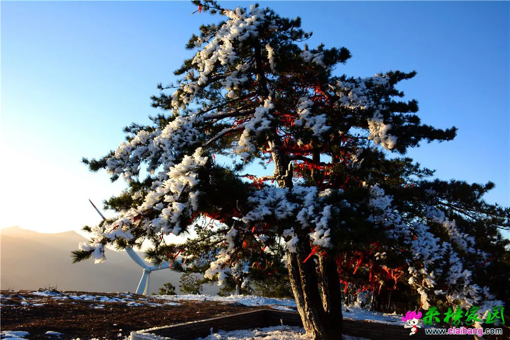 DSC_1074.webp