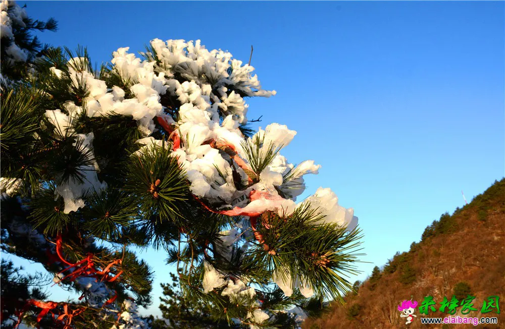 DSC_1076.webp