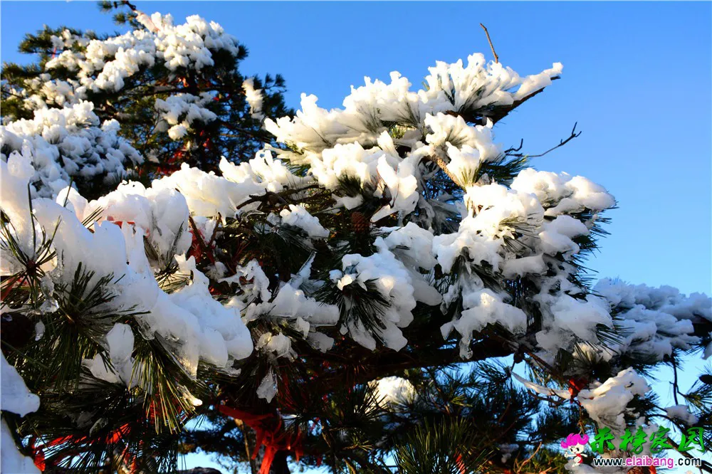 DSC_1079.webp