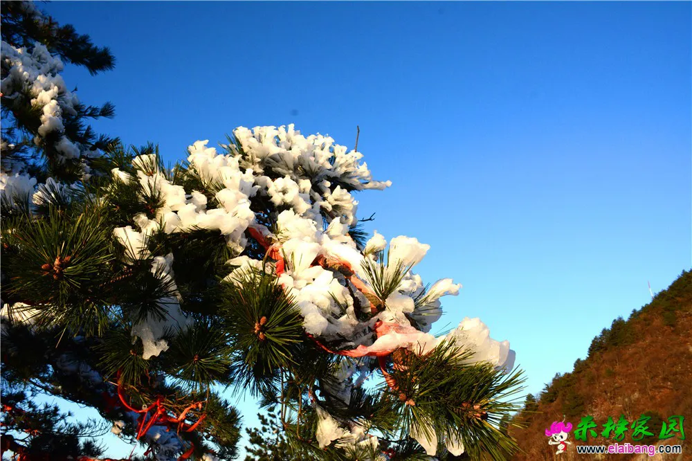 DSC_1077.webp