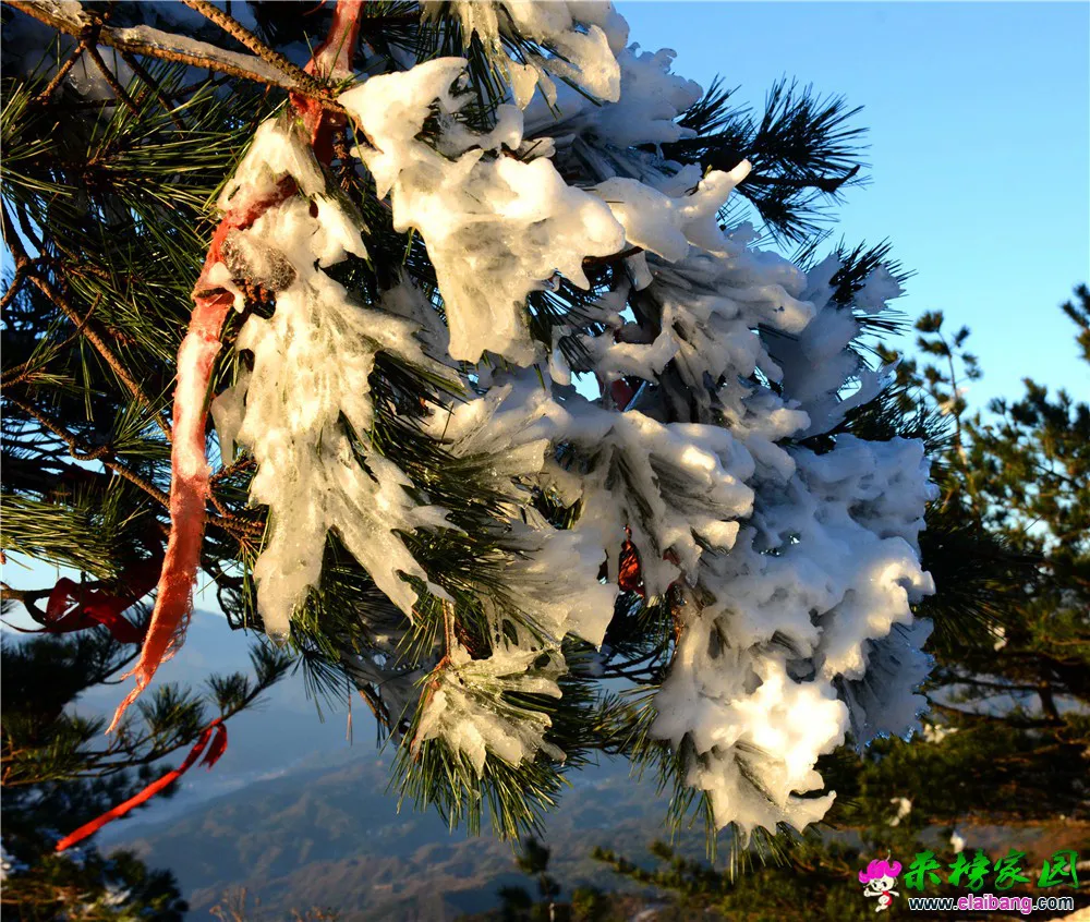 DSC_1080.webp
