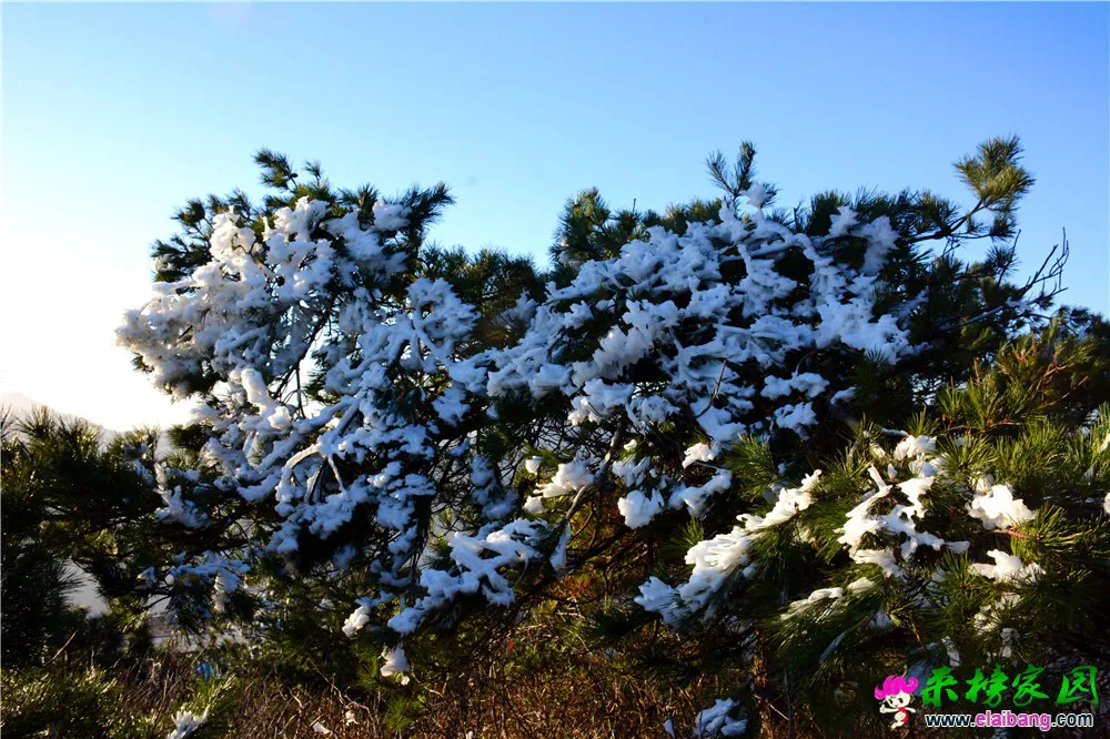 DSC_1091.webp