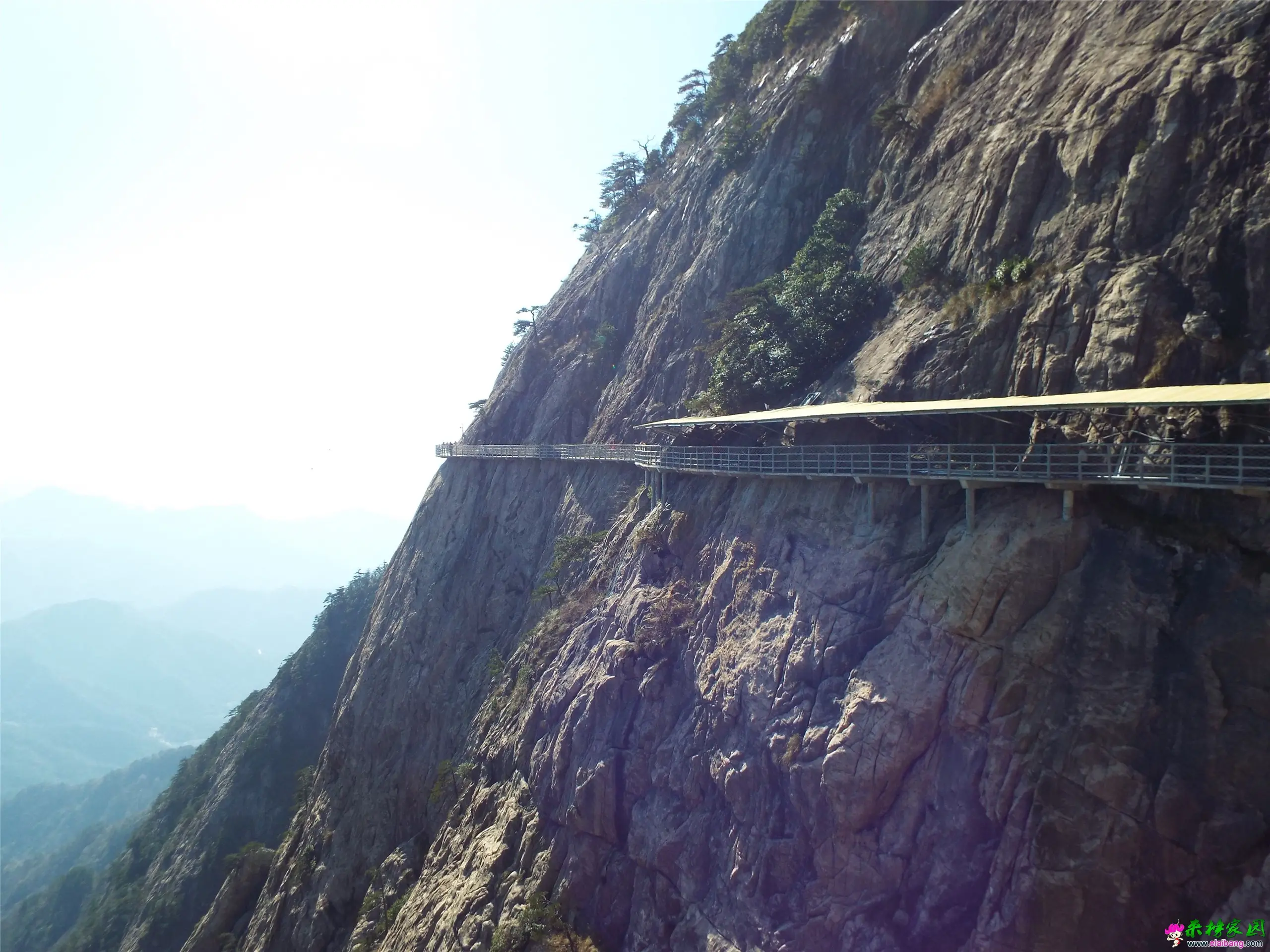 DSCF0294.webp