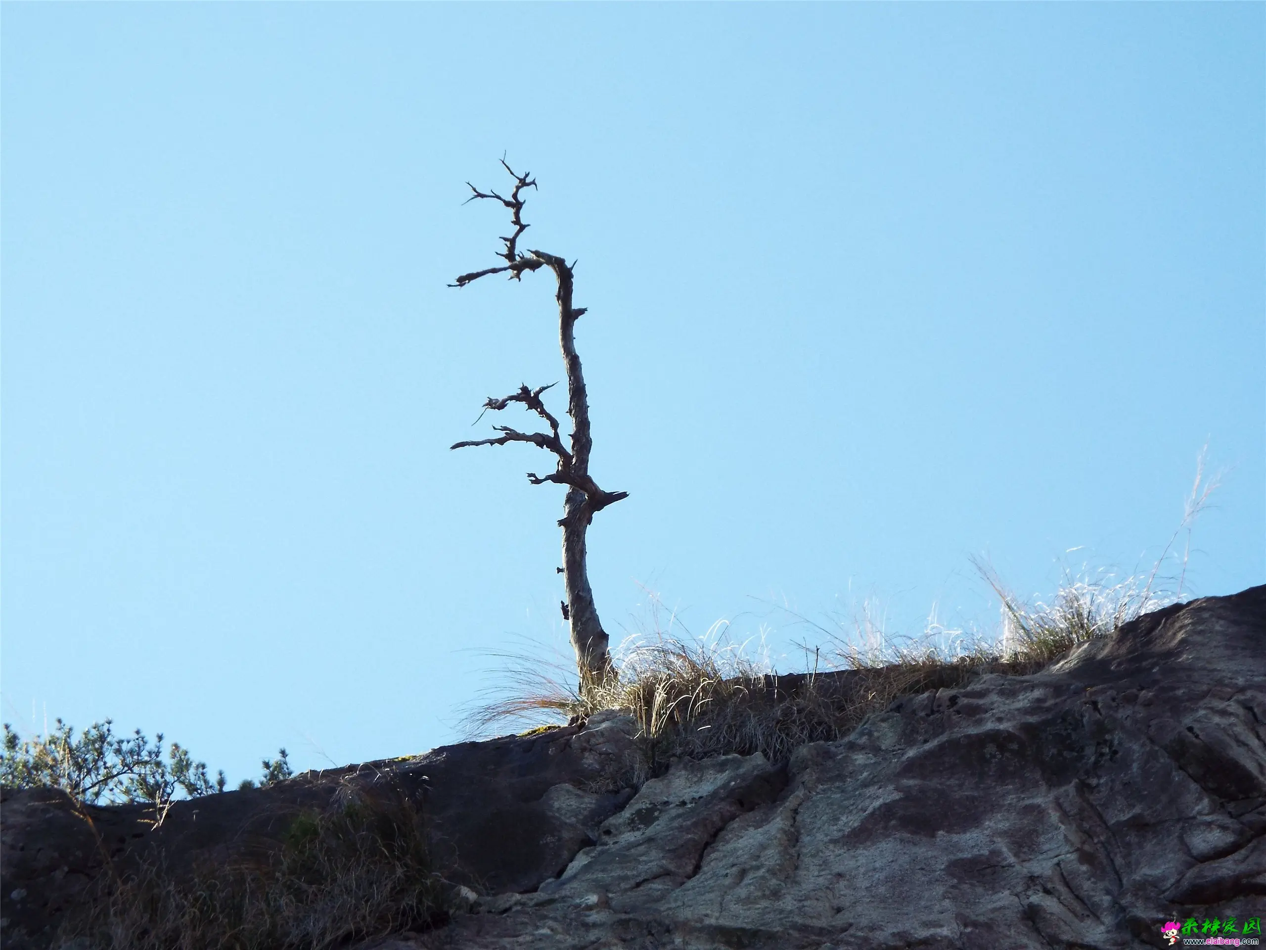 DSCF0394.webp