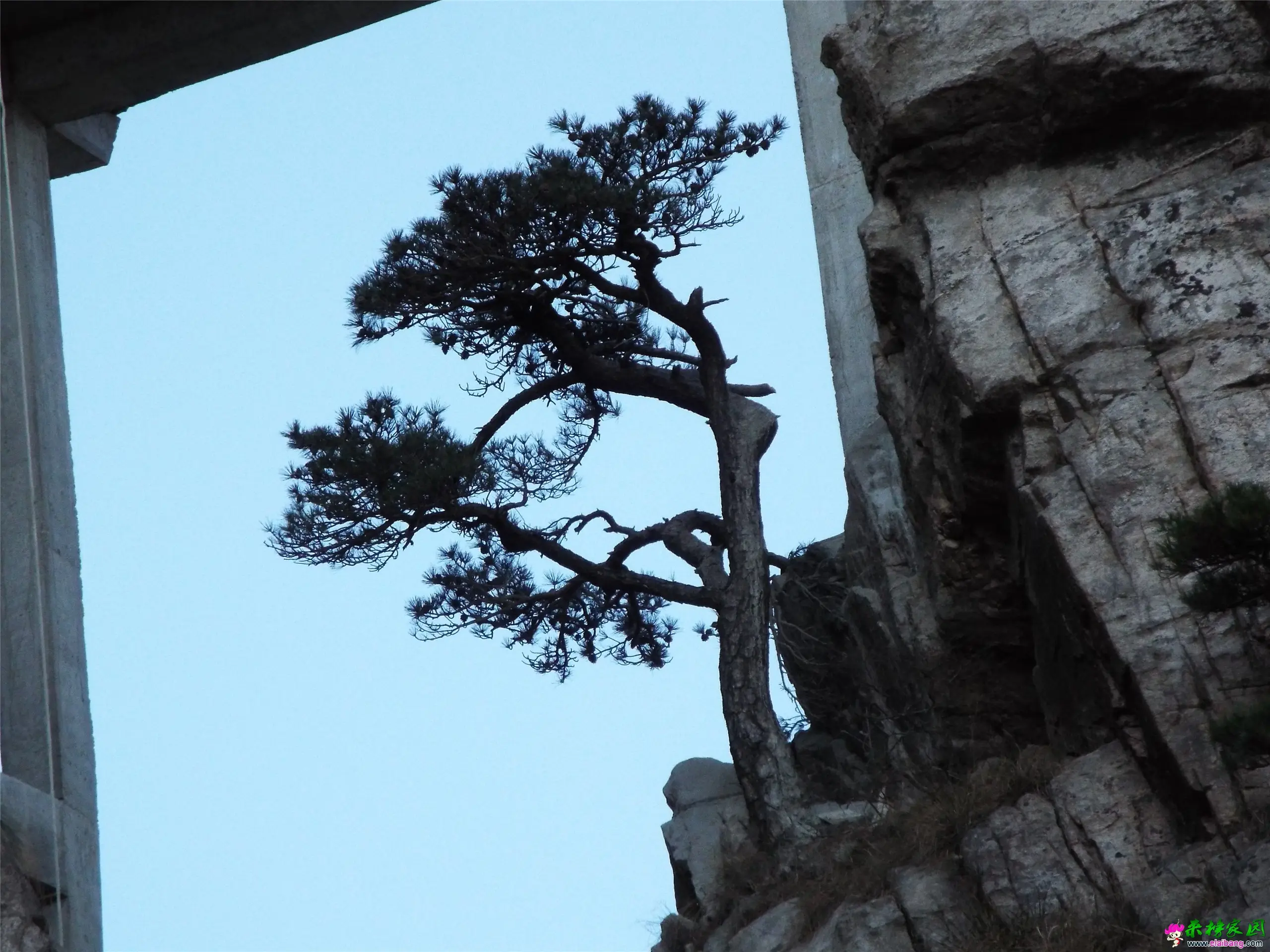DSCF0396.webp