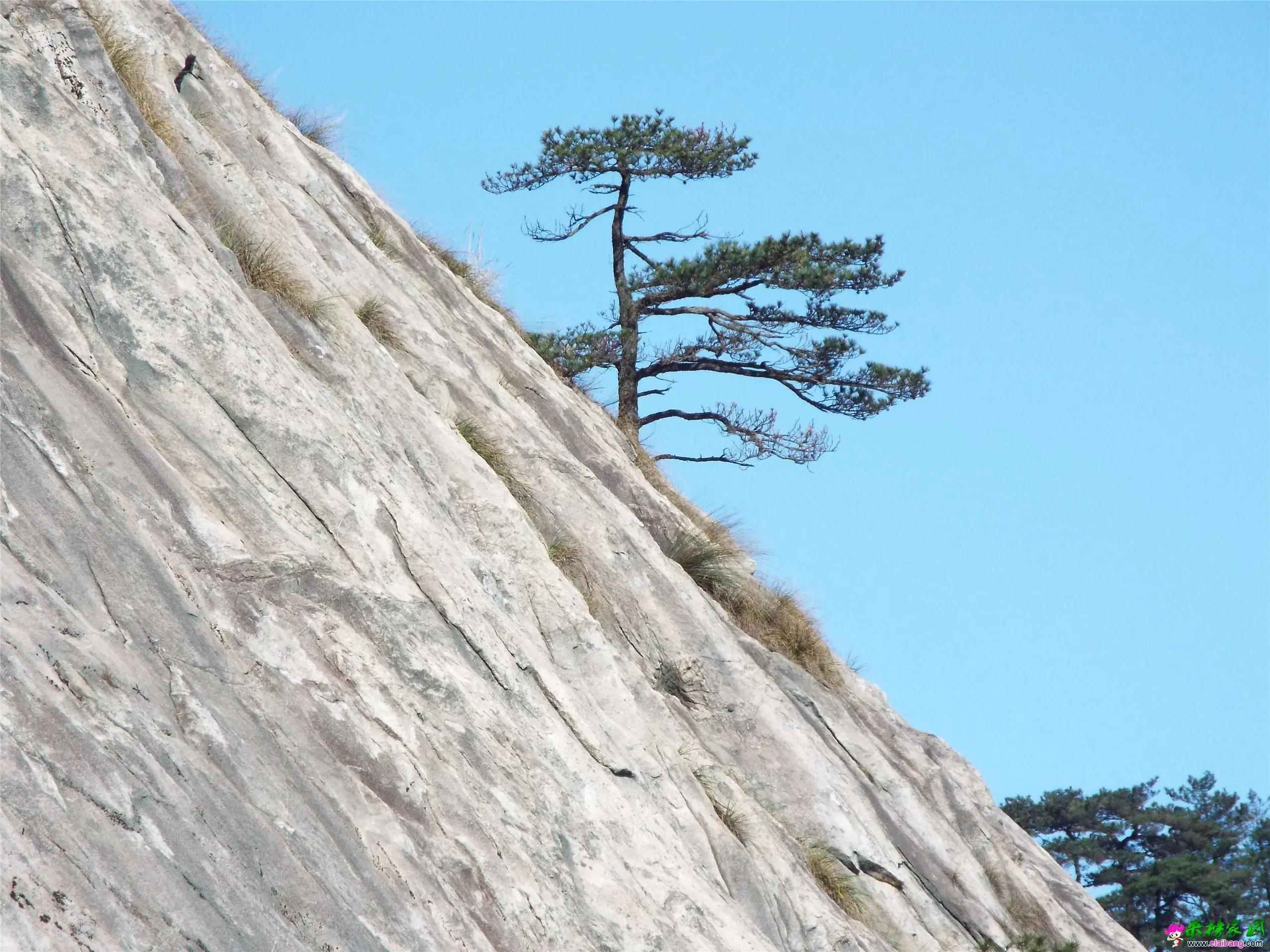 DSCF0391.webp