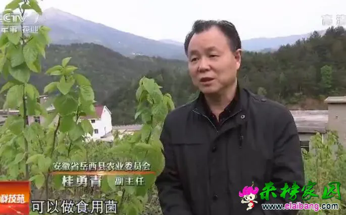 QQ截图20161201105209.webp