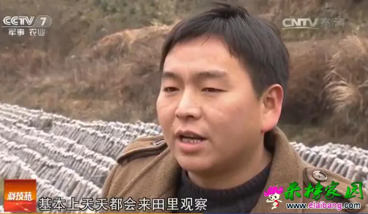 QQ截图20161201105056.webp