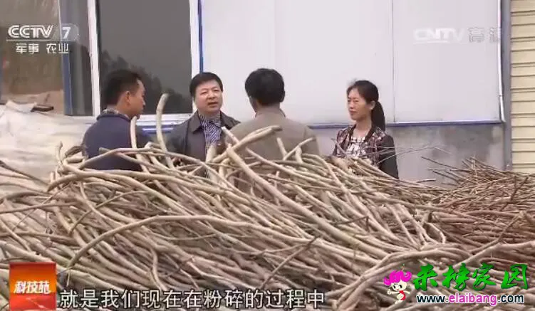 QQ截图20161201105149.webp