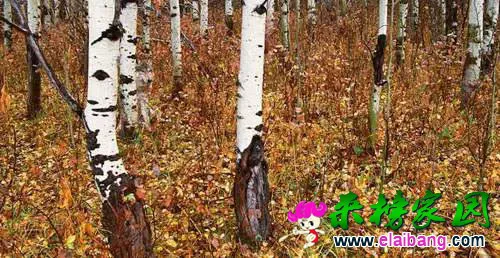82df9154213a6af0f7627c4a28a8d3df.webp