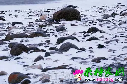 3a06007f14337c42877f16303e2b1e97.webp