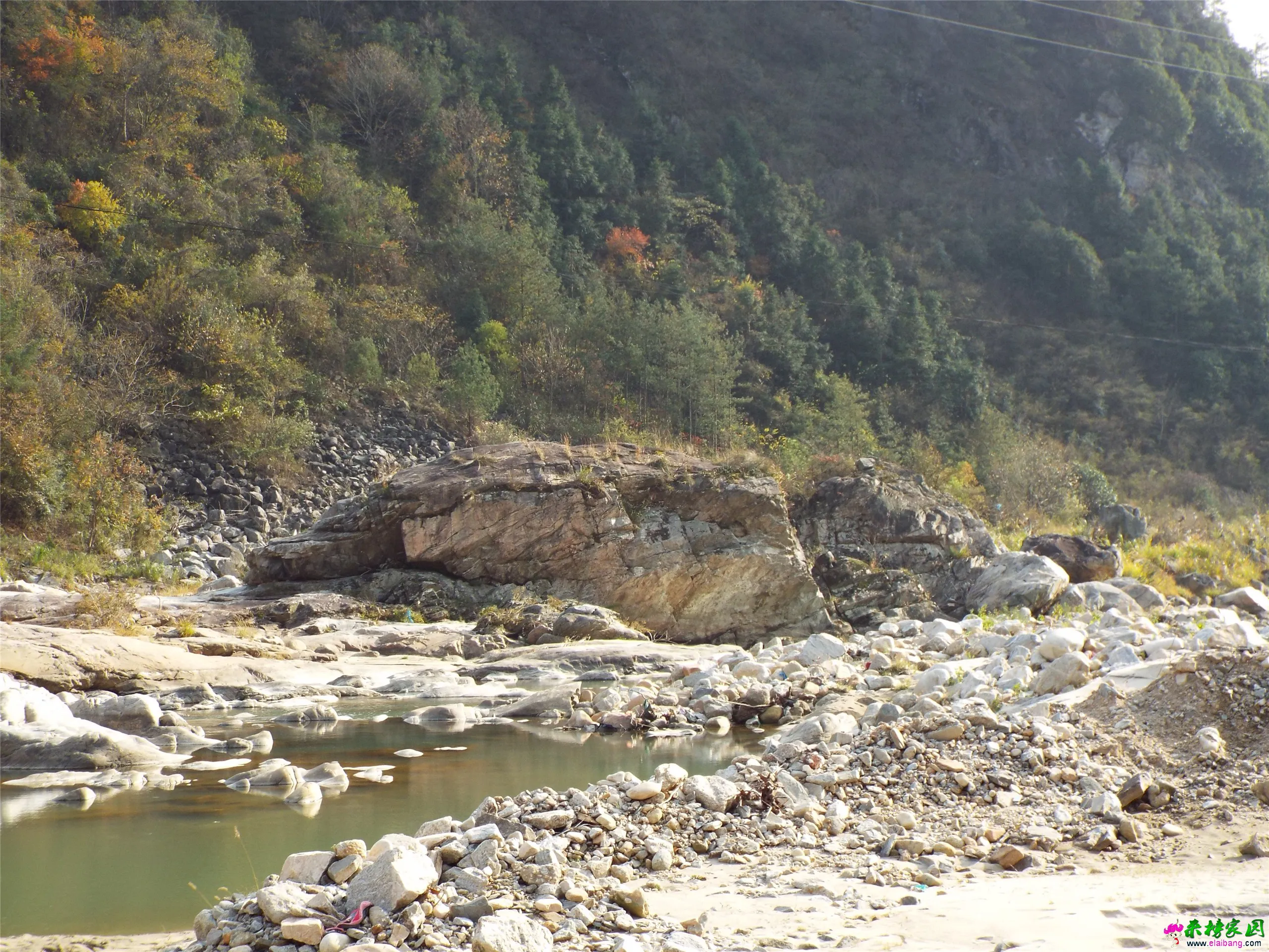 DSCF0031.webp