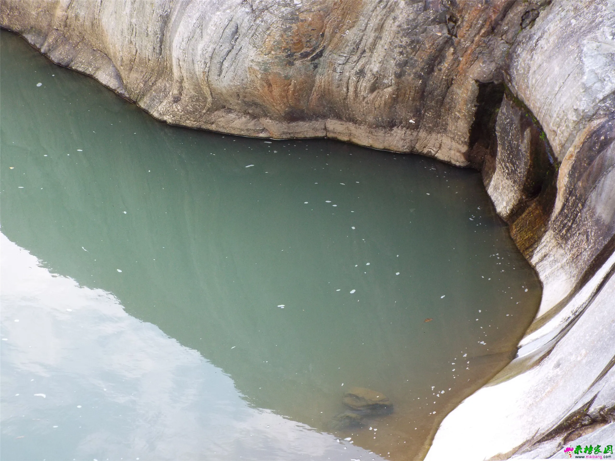 DSCF0045.webp