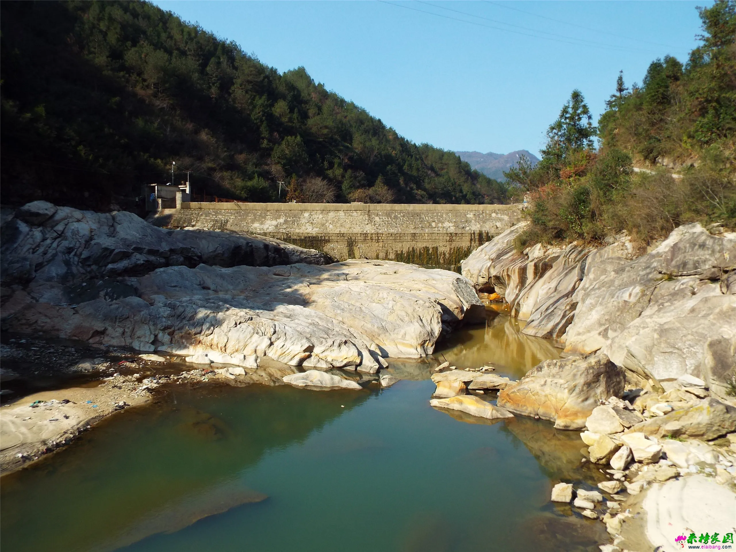 DSCF0145.webp