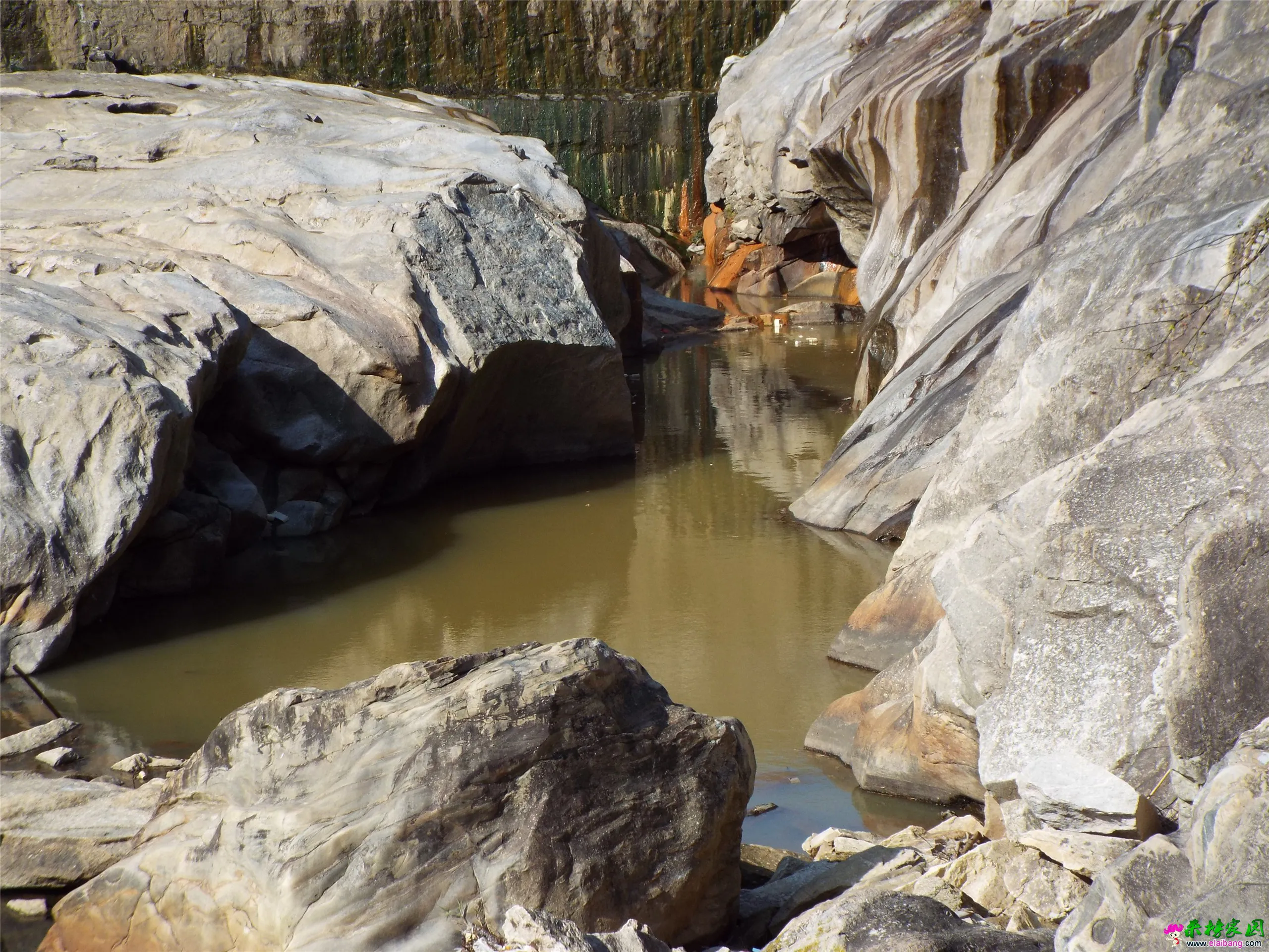 DSCF0146.webp