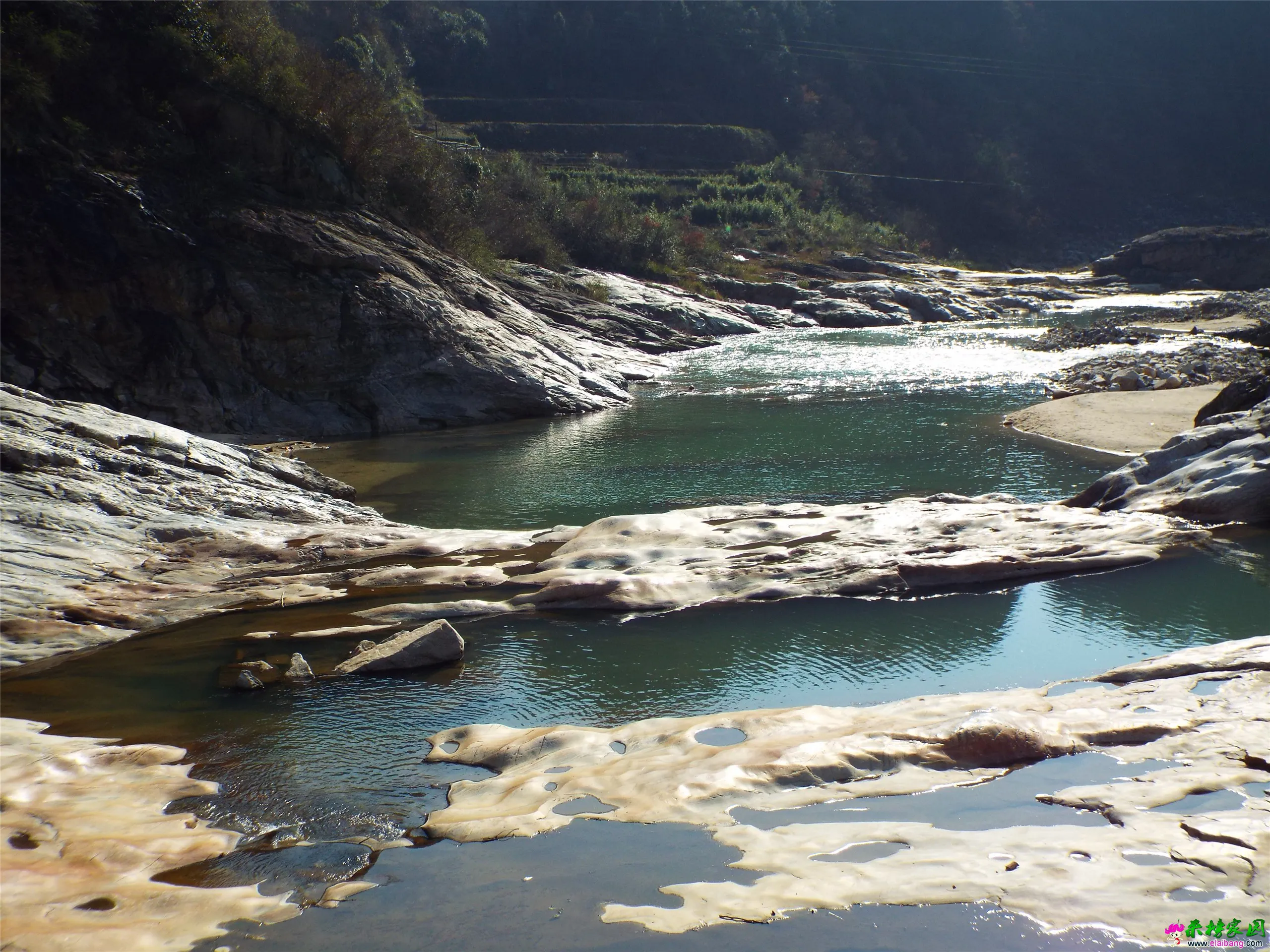 DSCF0147.webp