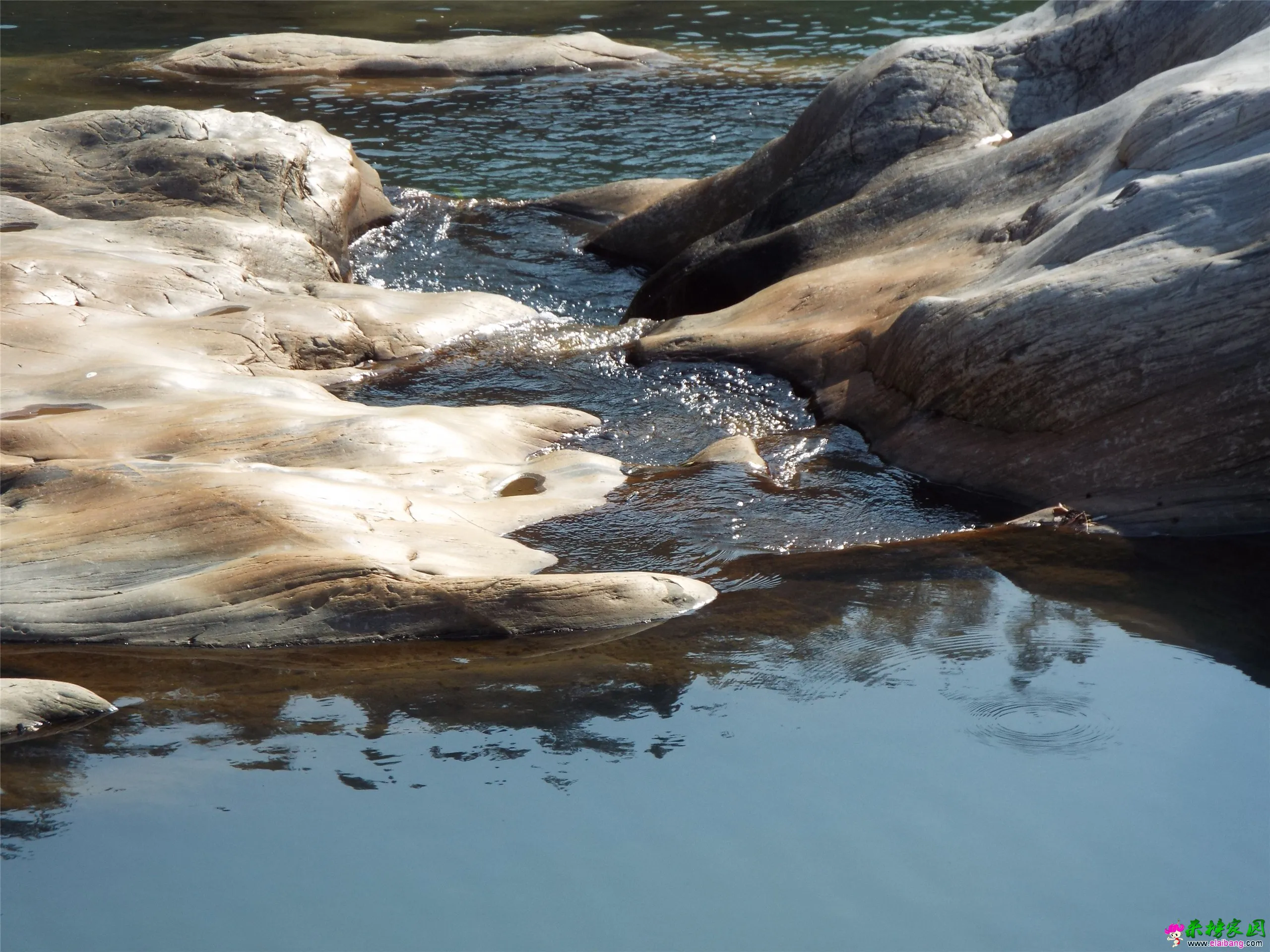 DSCF0148.webp