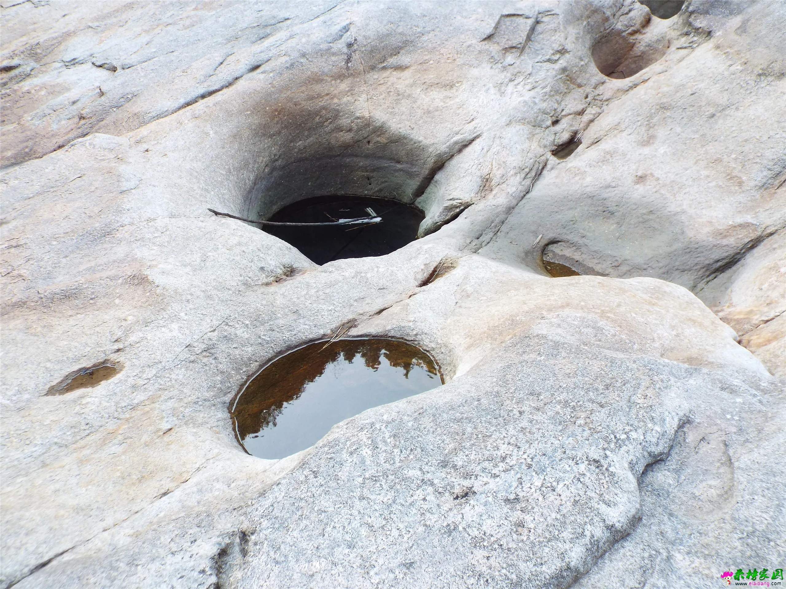 DSCF0151.webp