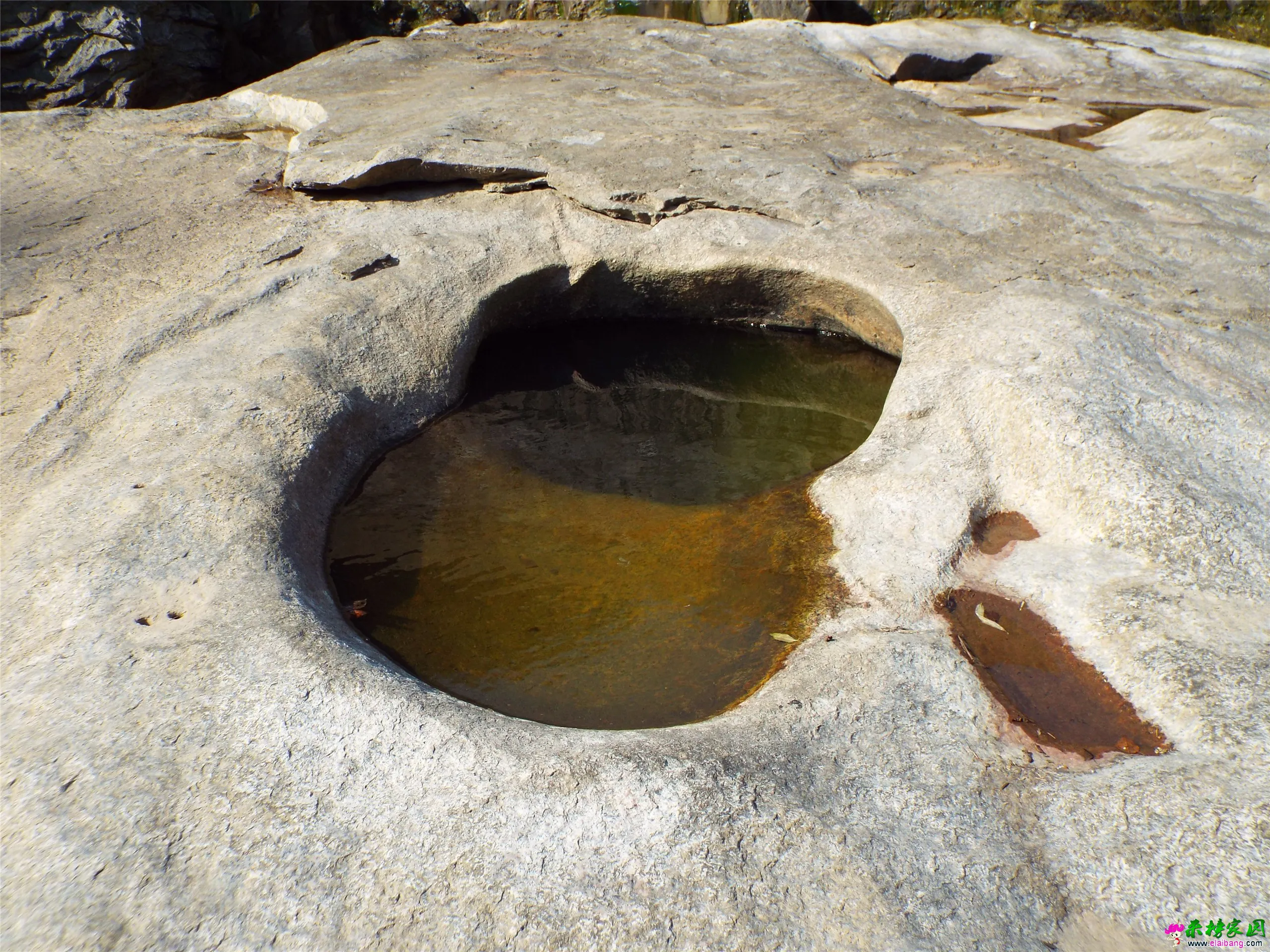DSCF0154.webp
