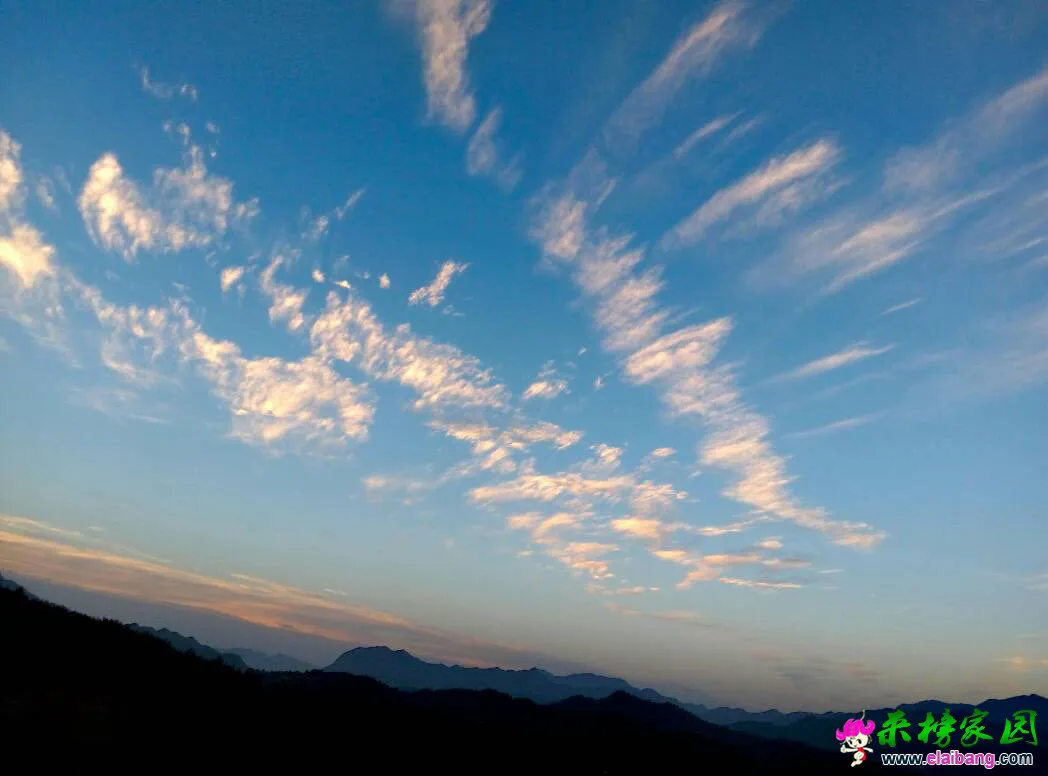 134155xrpzbfgw5yy16fyh.webp