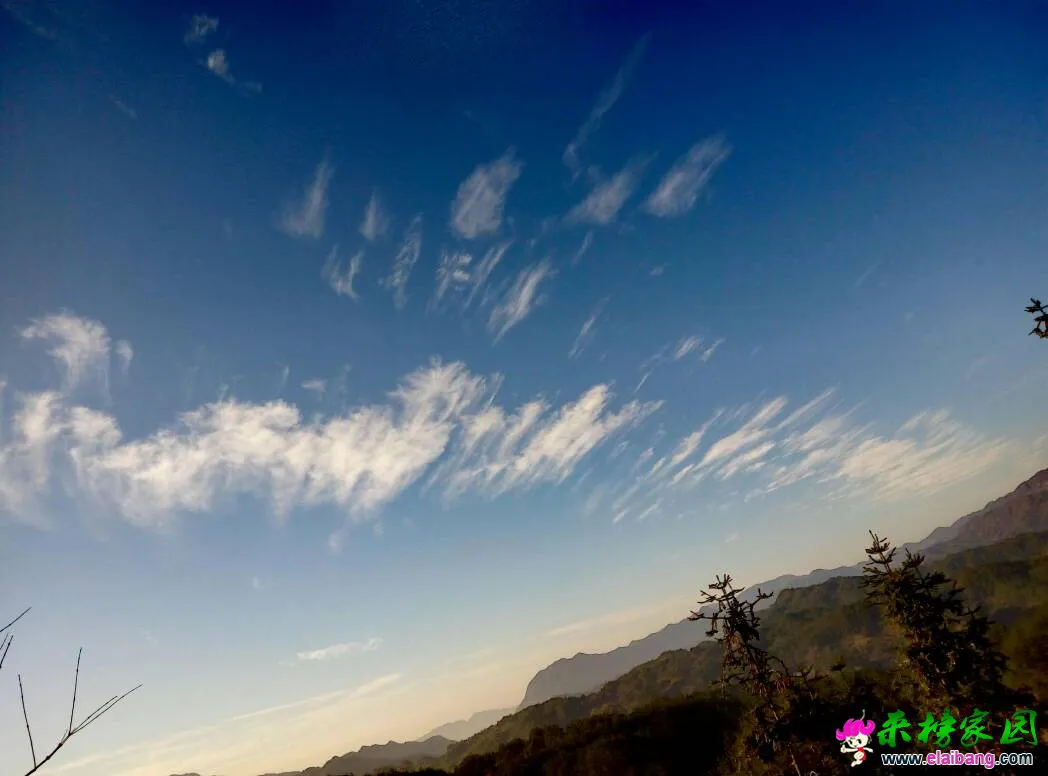 134155ze7g4xzxsu6vuh4h.webp
