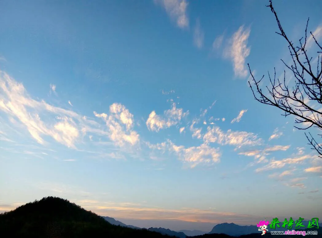 134156x1xppip9e1ce6bc1.webp