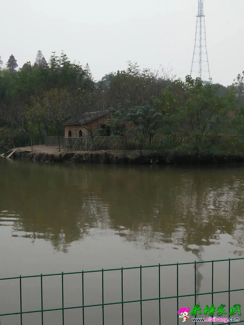 200509kxluttnuh5mztr4h.webp
