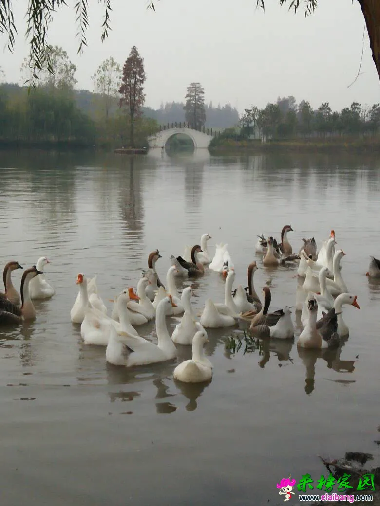 200509vx8luuxxxdnx2o5d.webp