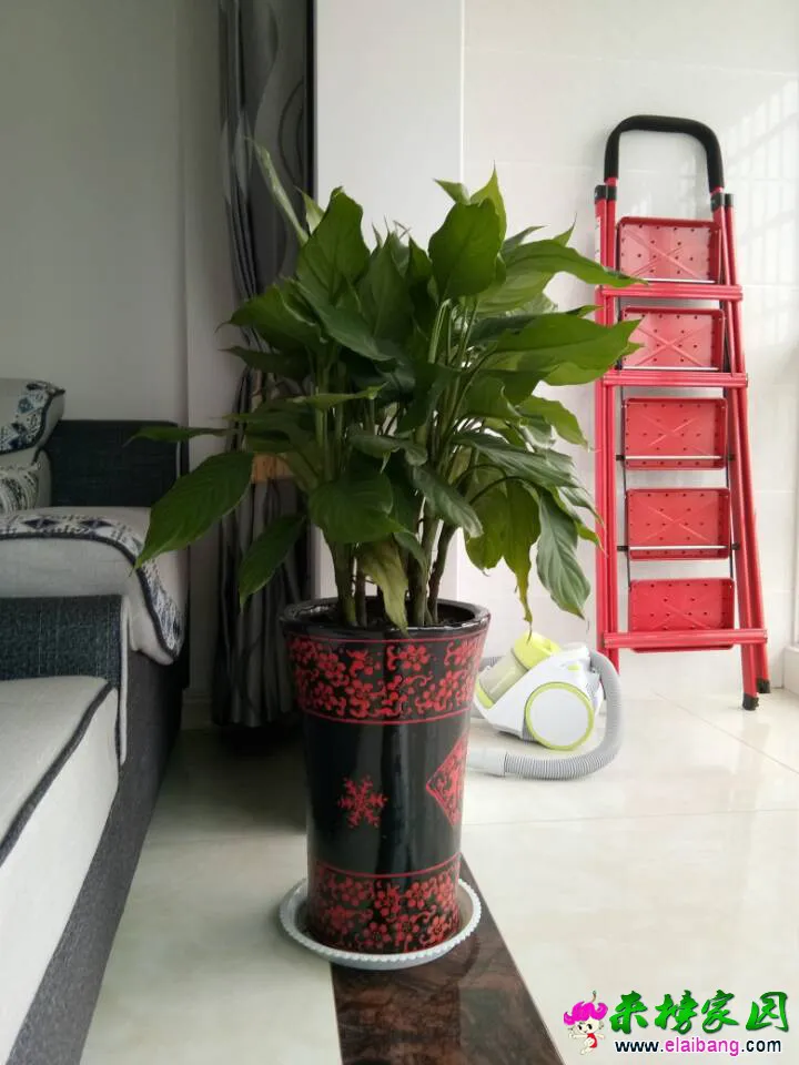 QQ图片20161211115124.webp