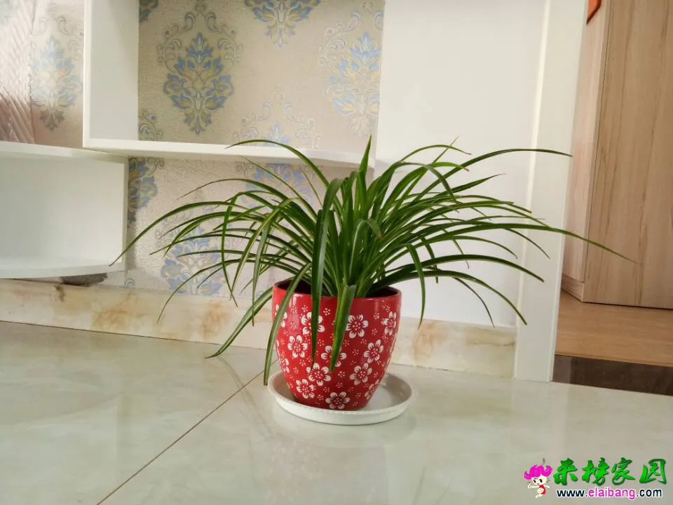 QQ图片20161211115126.webp