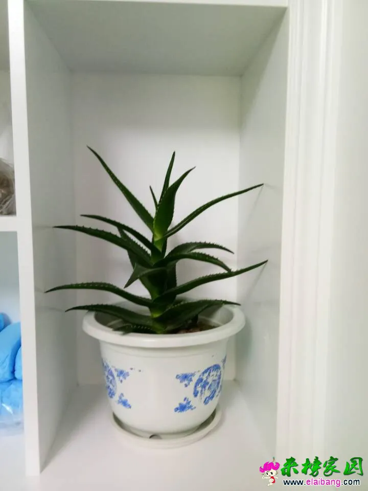QQ图片20161211115131.webp