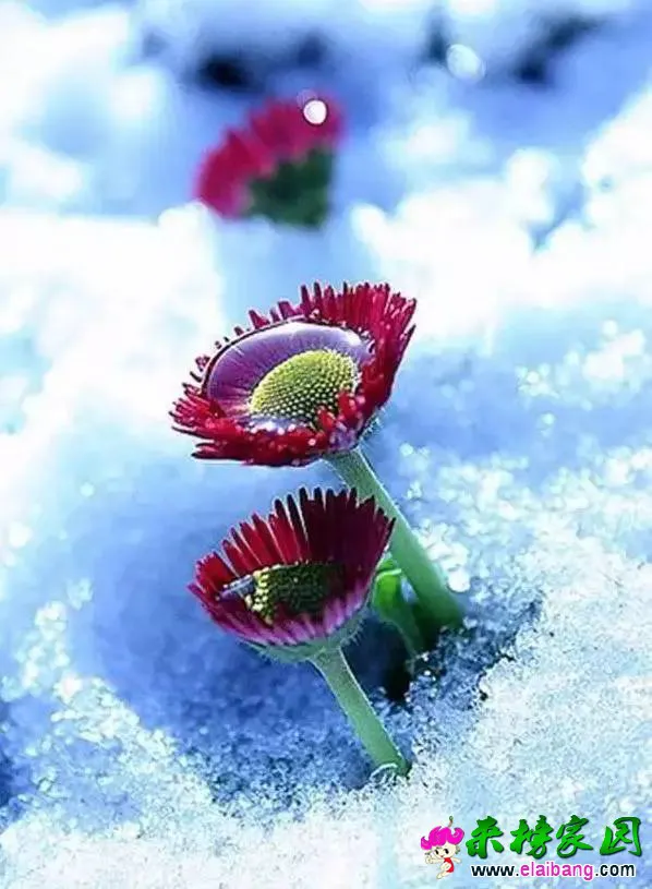 011cdfd45f6b58a9c4d03f9d604e1262.webp