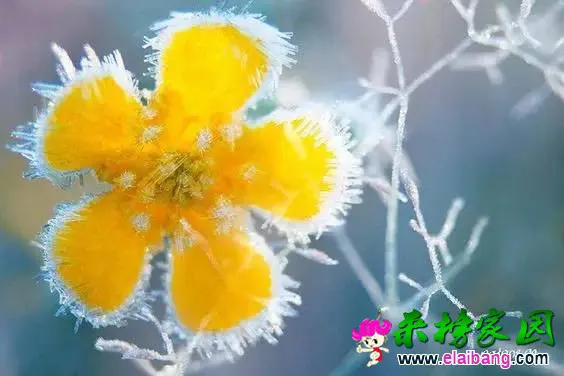 59a675636b2c184d1714336e657cf2a2.webp