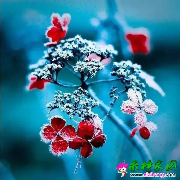 8cdd39e5625c46a54982bd075f3685a5.webp