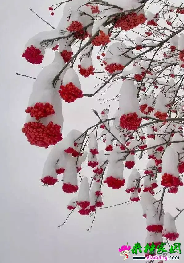 21147557ac7c298983f4ae8640842527.webp
