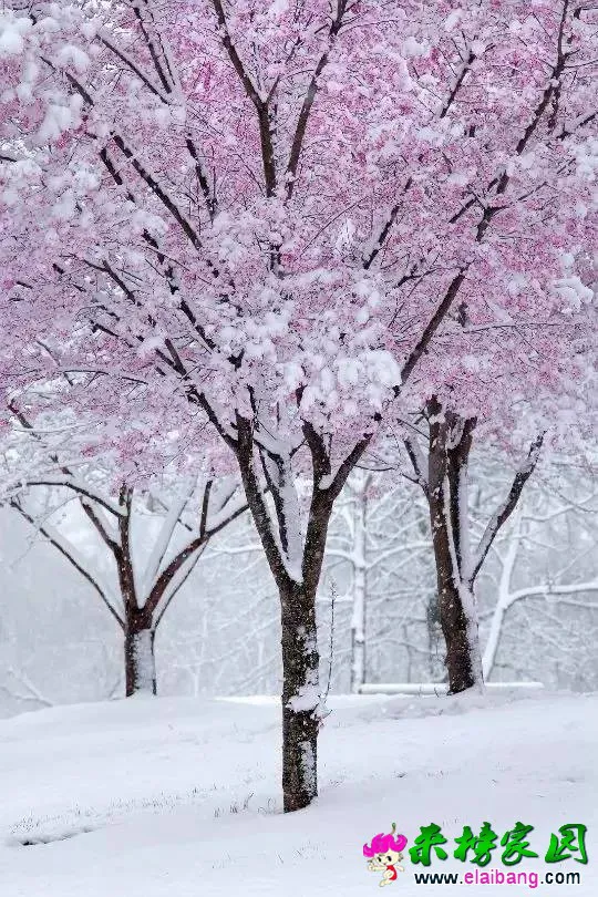 88dcfa34db89b41fcef9ed351ae18742.webp