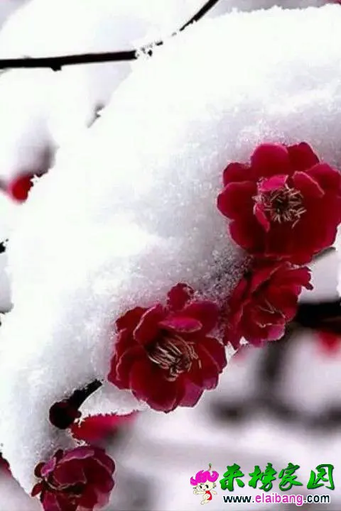 eb21e80cba6a901bcef8b313b0324157.webp