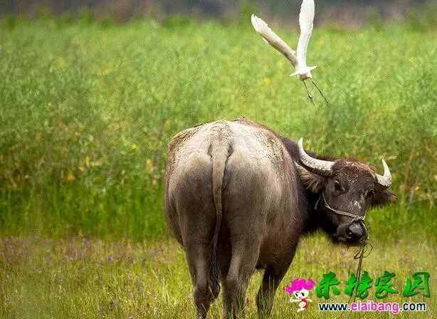 QQ截图20161212195706.webp