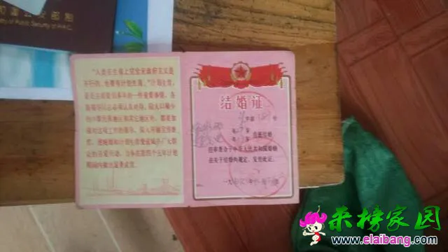 211447c6uz4tmdqctrsvtc.webp