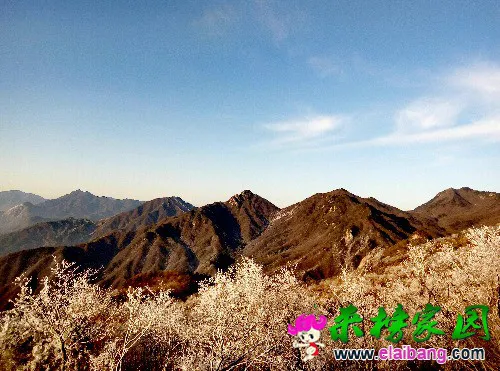 P61215-081213-001.webp