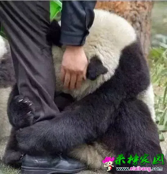 f24a7f63c0e5fcce1ae9a069110f923f.webp