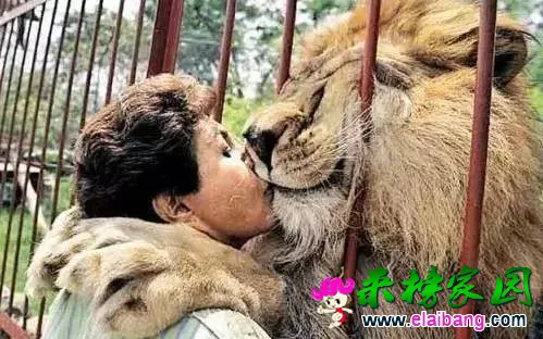 525bdb4f7ef9d65613ae1b1d58e05336.webp