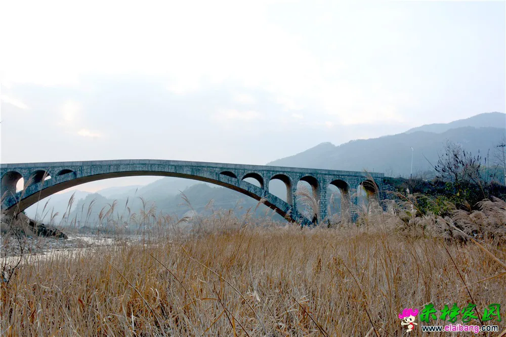 DSC_1512.webp