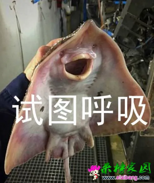 t01e7d008f6e29c9d8d.webp